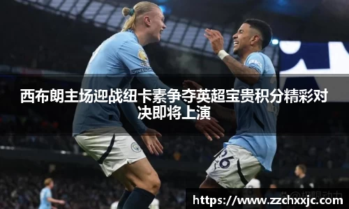 西布朗主场迎战纽卡素争夺英超宝贵积分精彩对决即将上演